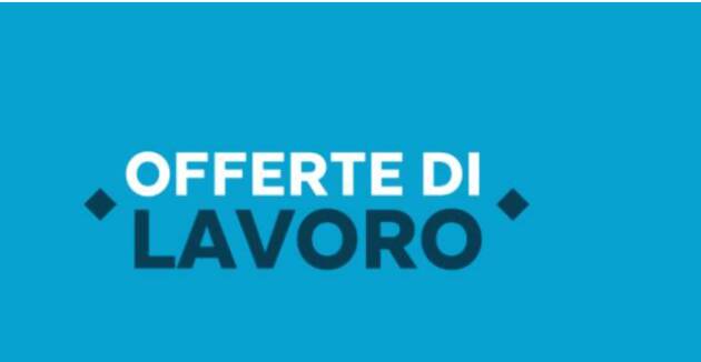 Attive  213 offerte lavoro CPI  24/06/2025 Cremona,Crema,Soresina e Casal.ggiore