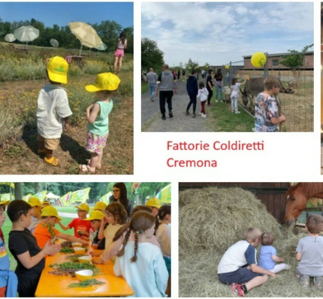 Coldiretti Cremona: un’estate tutta da vivere in fattoria