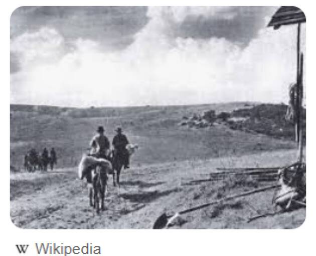 TERRA DI NESSUNO | VINCENZO ANDRAOUS (PAVIA)