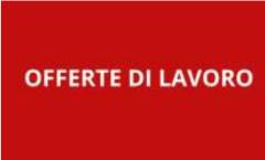Attive  198 offerte lavoro CPI  22/07/2025 Cremona,Crema,Soresina e Casal.ggiore