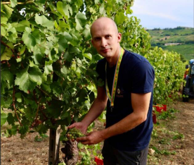 Vino, Coldiretti Lombardia: vendemmia al via In anticipo per il caldo, cresce la produzione