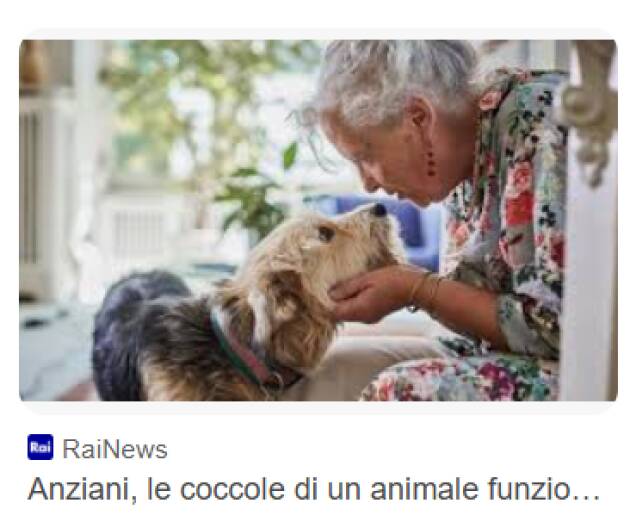 (CR) ANMVI e LAV al Governo: Serve una fiscalità equa per gli animali da compagnia