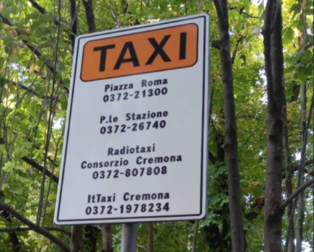 (CR) un nuovo servizio aggiuntivo per gli utenti del servizio taxi cittadino | Luca Zanacchi 