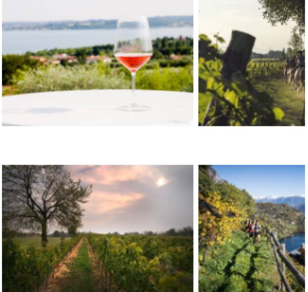 Provincia di Brescia, territorio diVino