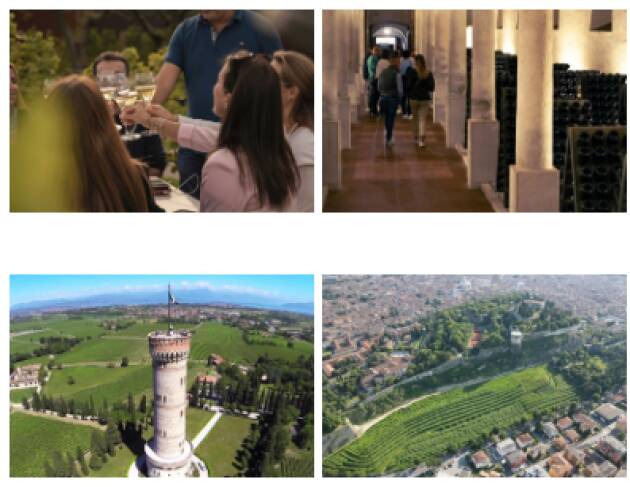 Provincia di Brescia, territorio diVino