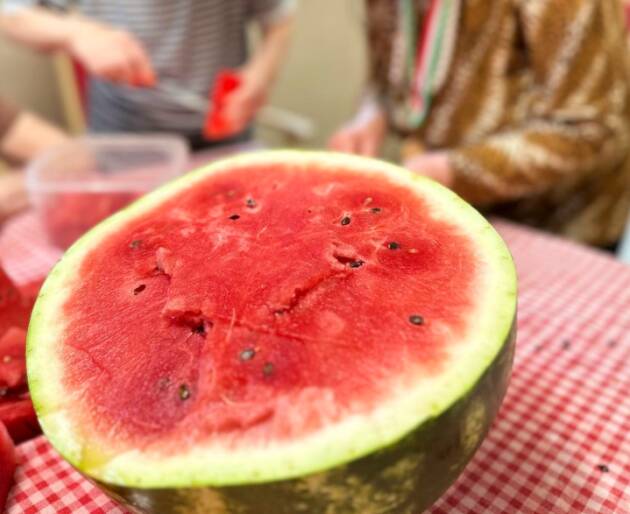 Fondazione Germani  L’estate ha il sapore dolce dell’anguria