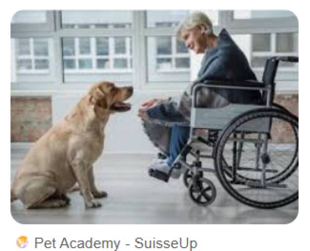 Gli anziani e gli animali domestici: un legame benefico