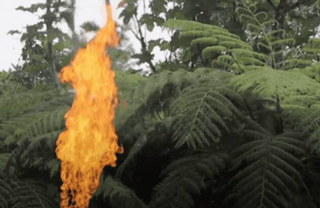 Amnesty Siamo le Guerriere per l’Amazzonia, un movimento di giovani ecuadoriane