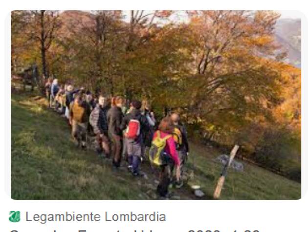 Torna l’appuntamento con l’iniziativa Cammina Foreste Urbane