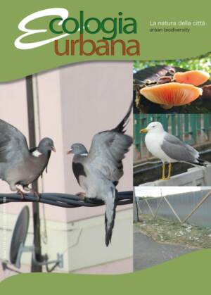 (CR) Atlanti ornitologici urbani: disponibile una nuova metodologia