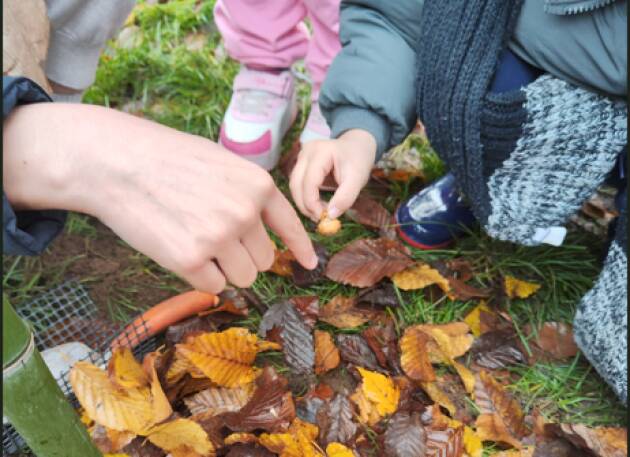 (CR) Agropolis A Cavatigozzi la Scuola Primaria 