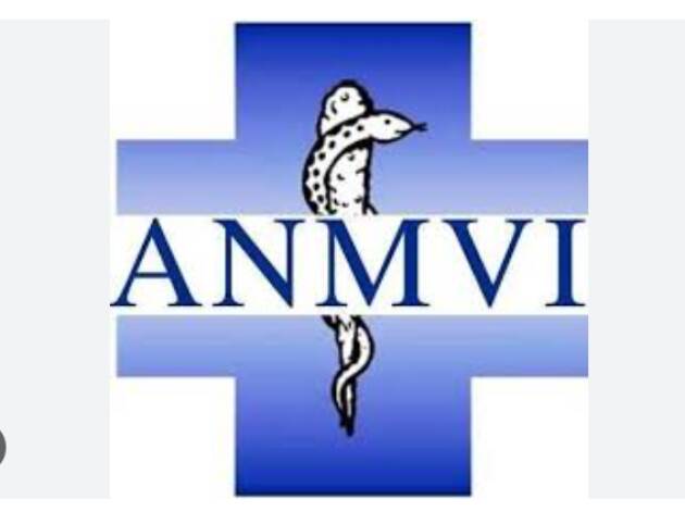 MANDATO 2025-2029 ANMVI: eletto il CD, Melosi confermato alla Presidenza