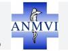 MANDATO 2025-2029 ANMVI: eletto il CD, Melosi confermato alla Presidenza