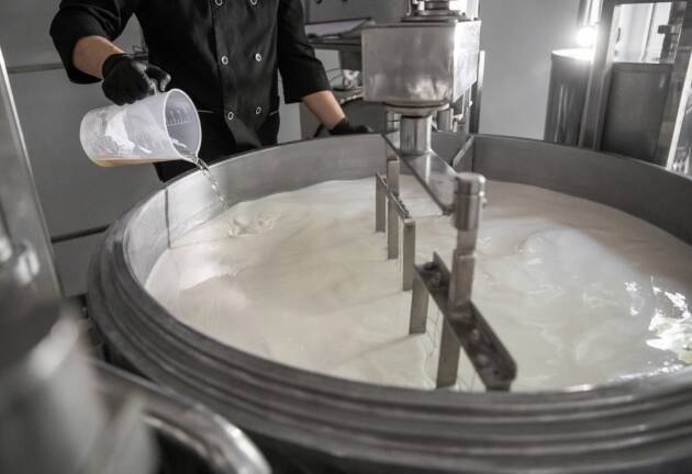 Cremona Cercasi lavoratori per la filiera lattiero casearia 