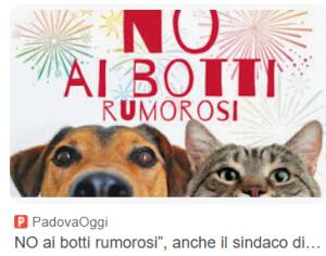 Crema Capodanno, l’appello del Sindaco: No ai botti, sì a una festa sicura e rispettosa