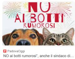 Crema Capodanno, l’appello del Sindaco: No ai botti, sì a una festa sicura e rispettosa