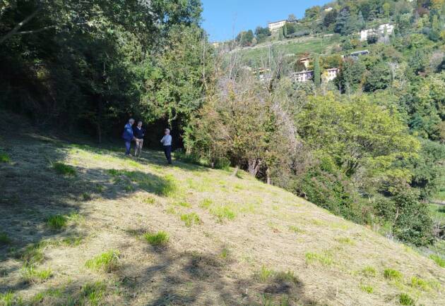 Bergamo Nasce nella Valle d’Astino la prima tartufaia comunale