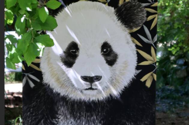 MY JUNGLE: MOSTRA PERSONALE DI TIZIANA SANNA AL CENTRO ARTE PERINI