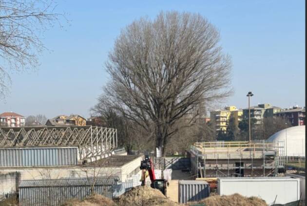 (CR) Impianti sportivi al Po, i lavori entrano nella fase finale