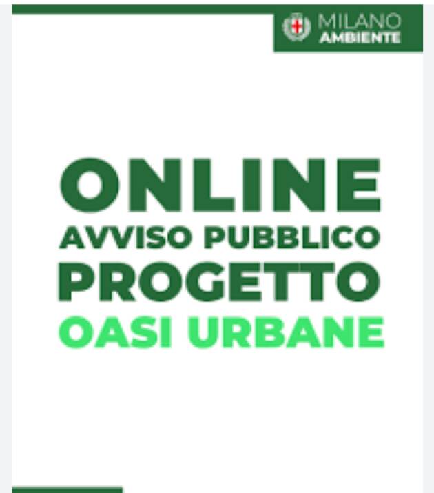 AMBIENTE. IL COMUNE RACCOGLIE PROPOSTE PER UNA MILANO PIÙ FRESCA 
