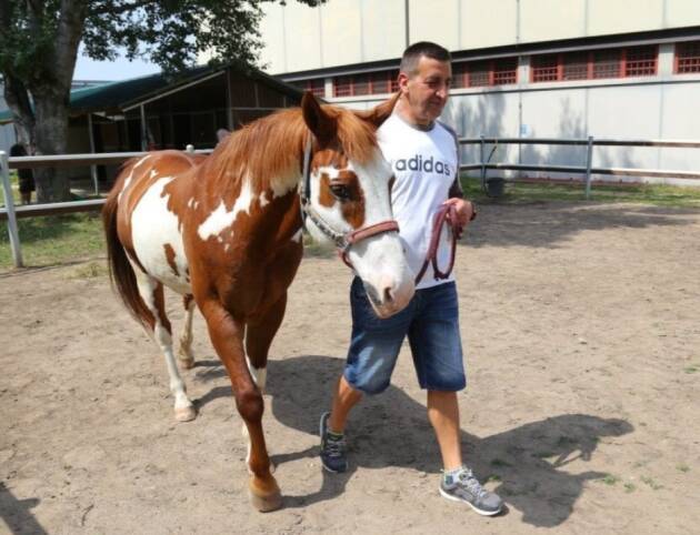  IL PROGETTO FIERACAVALLI   PER REINSERIMENTO LAVORATIVO  DETENUTI COMPIE 10 ANNI