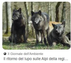 Lupo, Pollini (M5s): 'Alimentare allarmismi è inutile e dannoso'