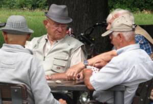 Lecco Seminario sistema territoriale anziani