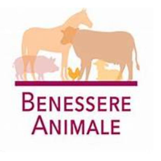 Benessere animale, ASSEGNATI  dal GAL Oglio Po 300.000 € alle aziende agricole del territorio