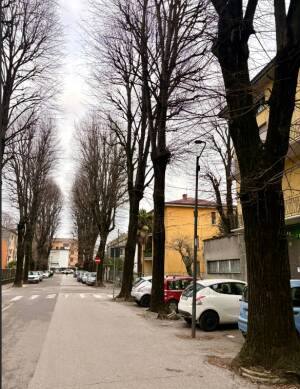 Cremona, Padania Acque S.p.A., lavori alla rete idrica e fognaria in via Oglio