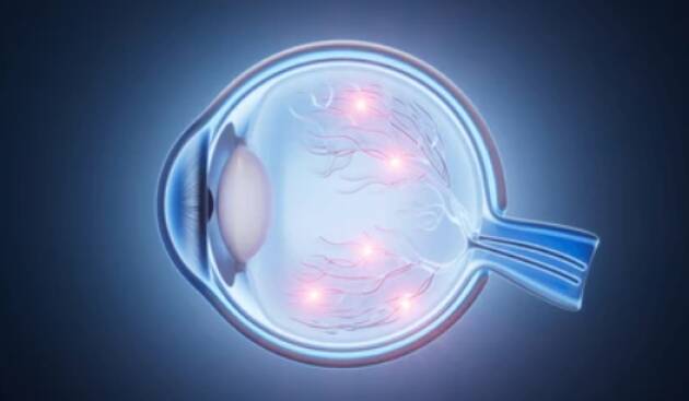 Crema, screening gratuiti per la Settimana mondiale del glaucoma 