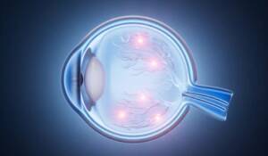 Crema, screening gratuiti per la Settimana mondiale del glaucoma 