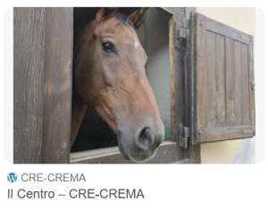 Il C.R.E. rinnova i propri organi : nuovo consiglio per il triennio 2026-2028