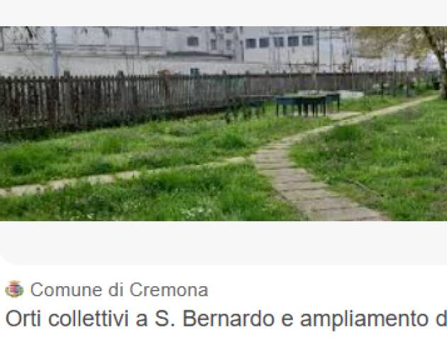 Orti collettivi a S. Bernardo e  dell’orto didattico della scuola Lacchini
