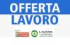 Attive 146 offerte lavoro CPI  07/04/2026 Cremona,Crema,Soresina e Casal.ggiore