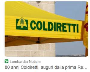 Iran, effetto guerra sul mais lombardo: semine al via con 60 milioni di costi extra