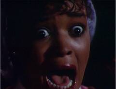 Crema  Pro Loco Newsletter del 16 aprile 2026