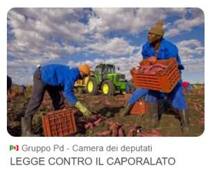 Caporalato, Guerra (PD): Basta paraschiavismo, cambiare Bossi-Fini e controlli sistematici