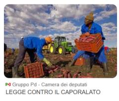 Caporalato, Guerra (PD): Basta paraschiavismo, cambiare Bossi-Fini e controlli sistematici