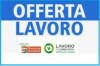 Attive 143 offerte lavoro CPI  21/04/2026 Cremona,Crema,Soresina e Casal.ggiore