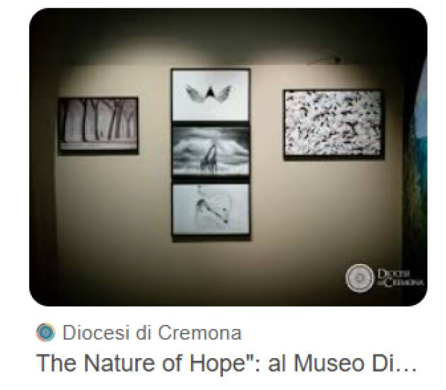 Museo diocesano di Cremona, il 17 maggio visita guidata alla mostra The Nature of Hope 