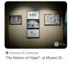 Museo diocesano di Cremona, il 17 maggio visita guidata alla mostra The Nature of Hope 