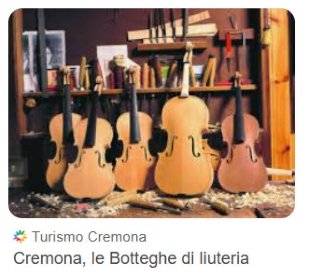 LIUTERIA. PORTESANI : DIFFONDERE ELENCO DEI LIUTAI PROFESSIONISTI