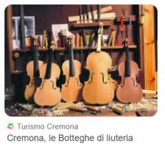 LIUTERIA. PORTESANI : DIFFONDERE ELENCO DEI LIUTAI PROFESSIONISTI