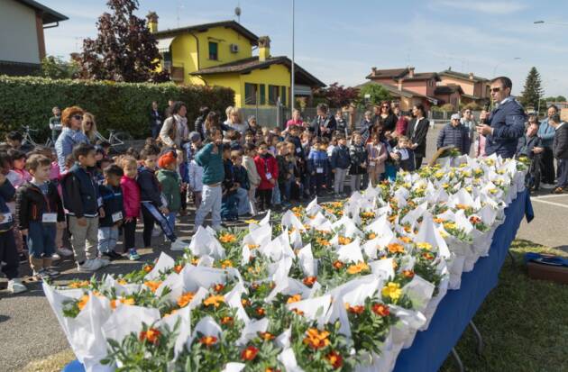 Soresina Oltre 150 bambini piantano il futuro