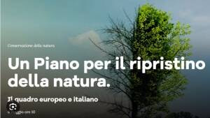 Ripristino della Natura, Pollini: Pubblicato il Piano Nazionale.