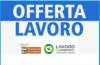 Attive 133 offerte lavoro CPI  12/05/2026 Cremona,Crema,Soresina e Casal.ggiore