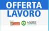 Attive 141 offerte lavoro CPI  19/05/2026 Cremona,Crema,Soresina e Casal.ggiore