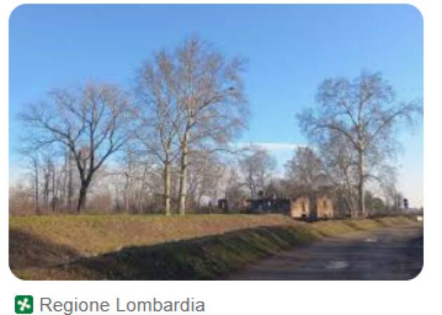 Cremona pianta 850 alberi con i soldi di Tamoil.