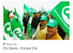 Caldo estremo e solitudine degli anziani: Regione Lombardia intervenga 