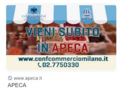 Apeca (ambulanti Confcommercio): sui nuovi mercati agricoli a Milano si faccia chiarezza